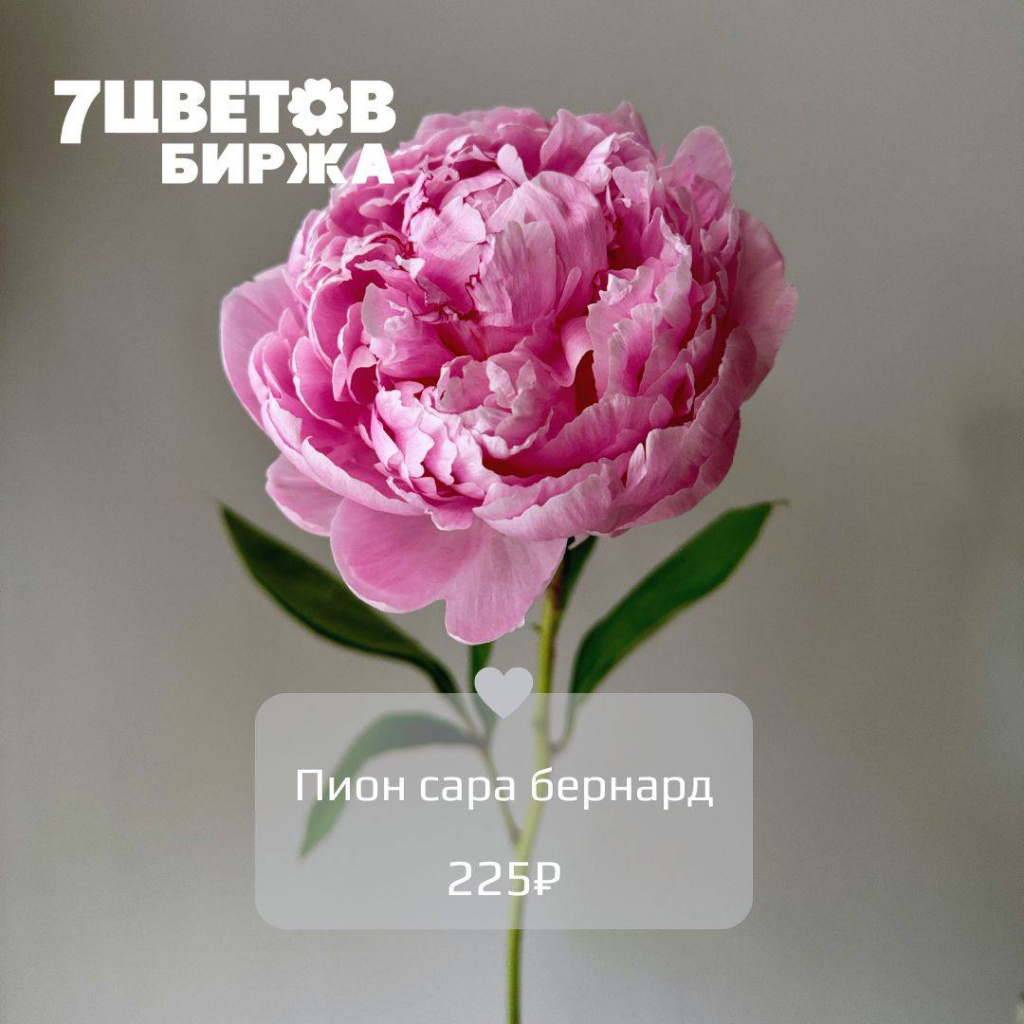 11_4.jpg