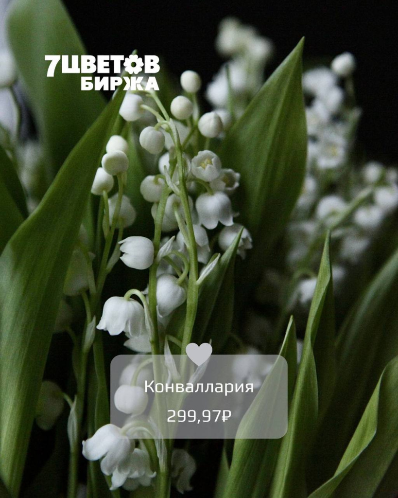 тд1006_4.jpg тд1006_4.jpg