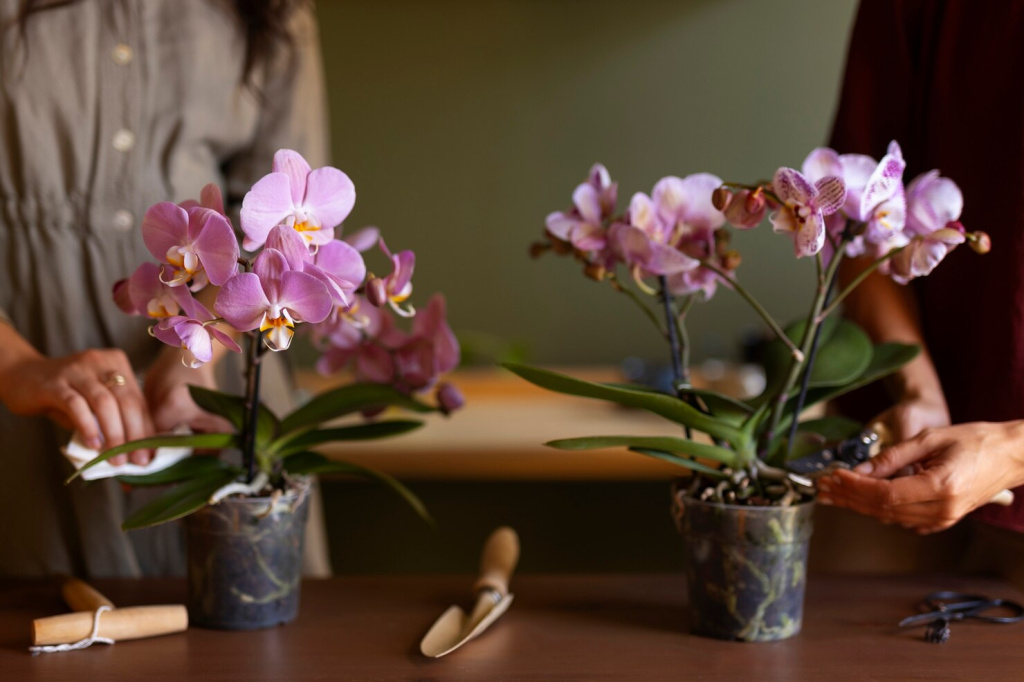 woman-decorating-her-house-with-orchids_23-2150970101.jpg