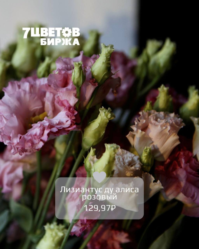 ТД1508_5.jpg ТД1508_5.jpg