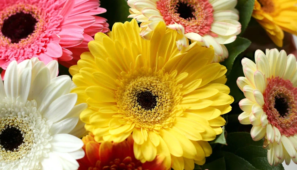 4 (576 x 330 пикс.)_20250610_145842_0000.png