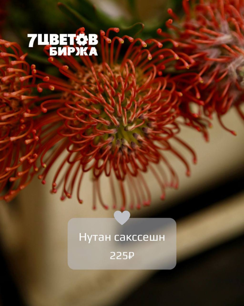 ТД0606_6.jpg ТД0606_6.jpg