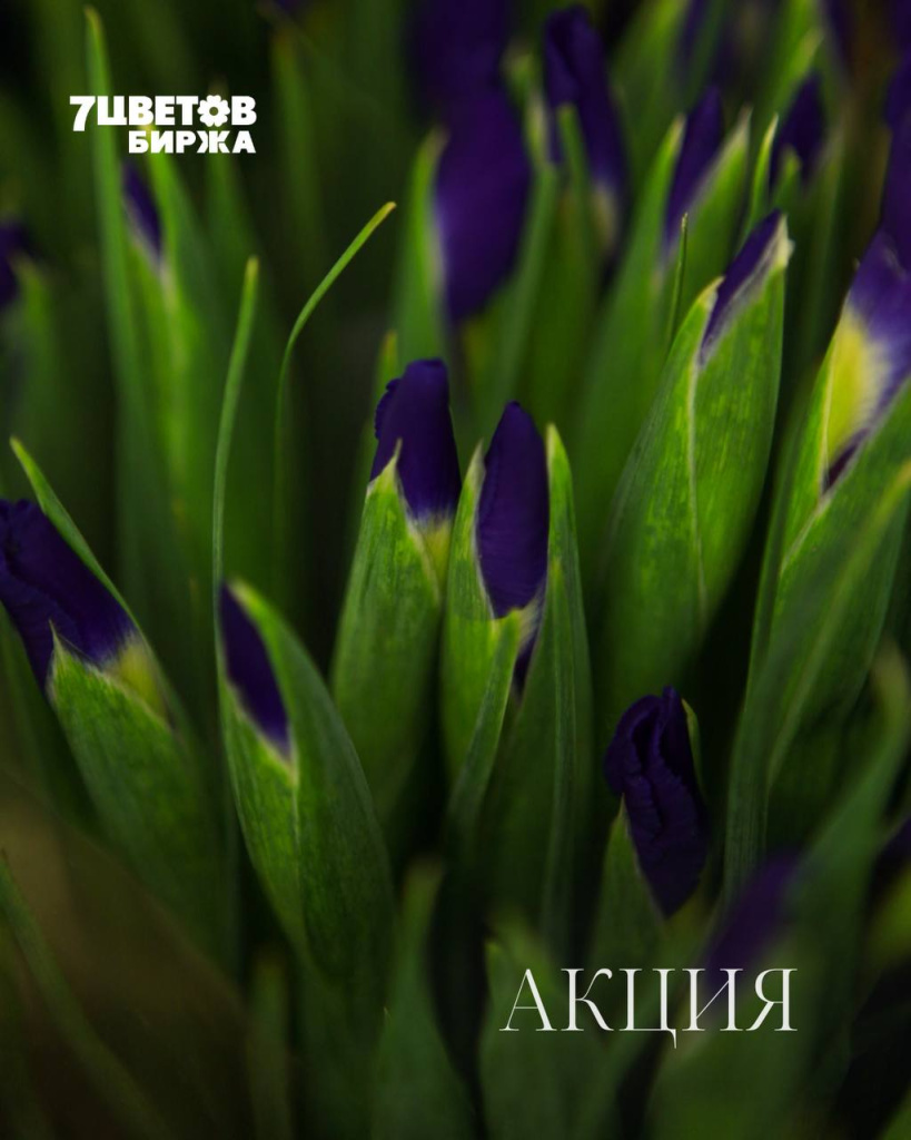 АКЦИИ на предстоящую пятницу 03.04 В БИРЖЕ!