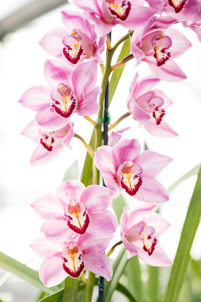 image13.jpg