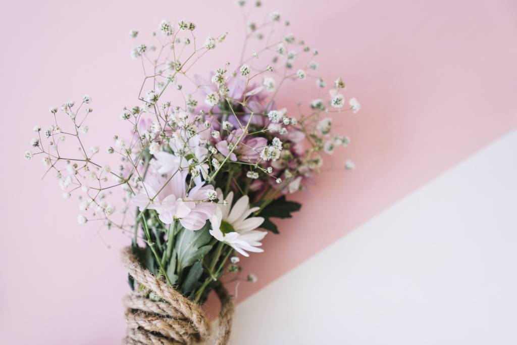 plant-decoration.jpg
