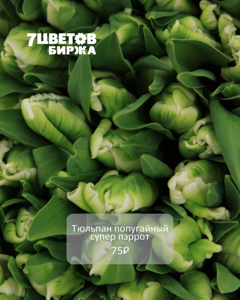 photo_2025-12-23_15-53-01 (2).jpg