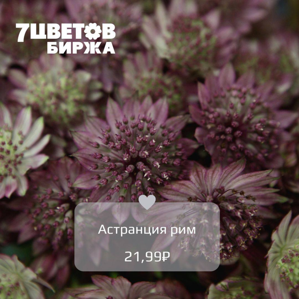 13_02.jpg