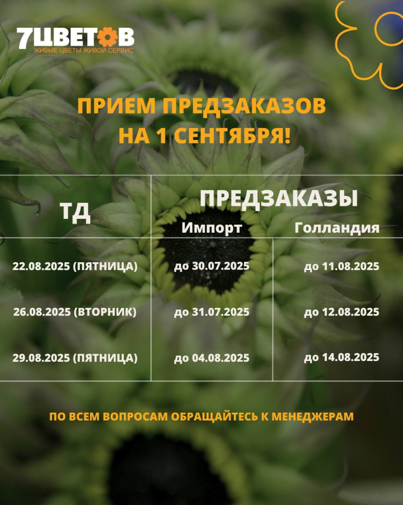 предзаказы 1сент.jpg предзаказы 1сент.jpg