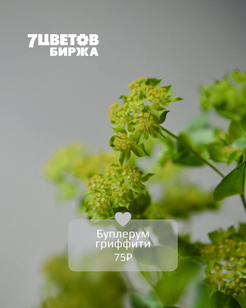ТД0108_6.jpg ТД0108_6.jpg