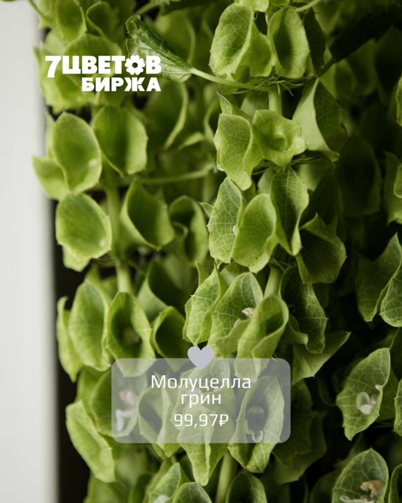 ТД2305_6.jpg ТД2305_6.jpg