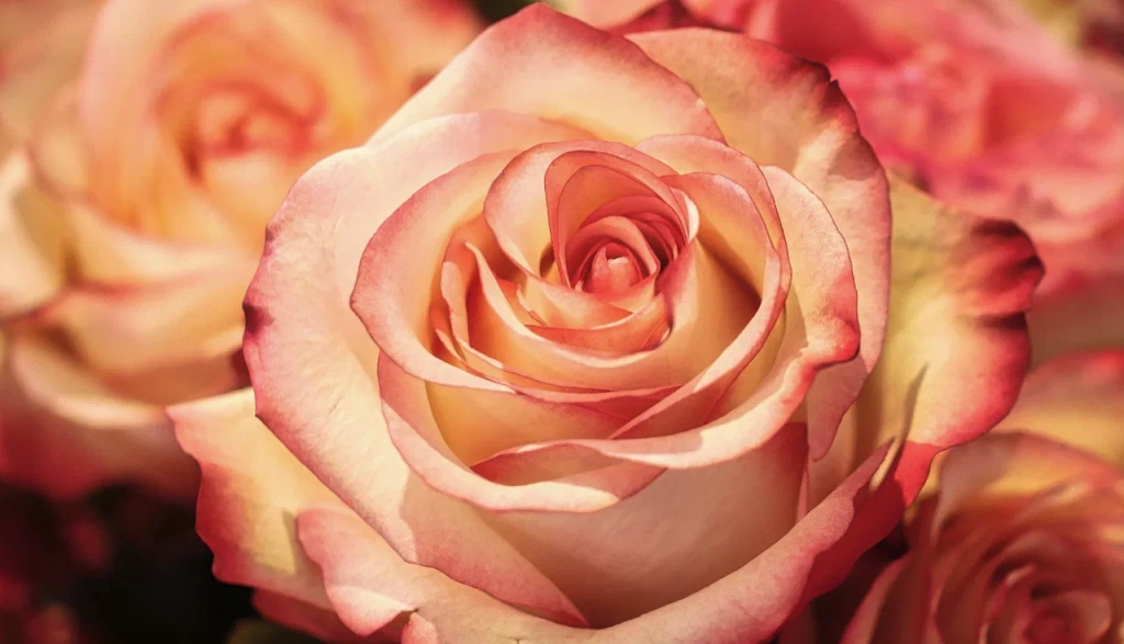 4 (576 x 330 пикс.)_20250611_110333_0000.png 4 (576 x 330 пикс.)_20250611_110333_0000.png