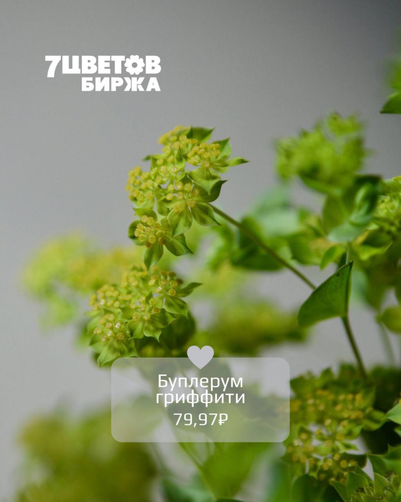 ТД1909_6.jpg ТД1909_6.jpg
