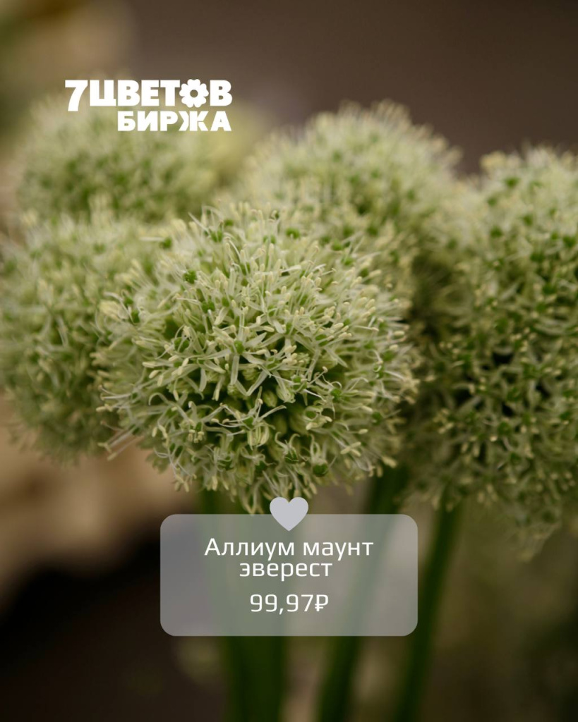 ТД0306_6.jpg ТД0306_6.jpg