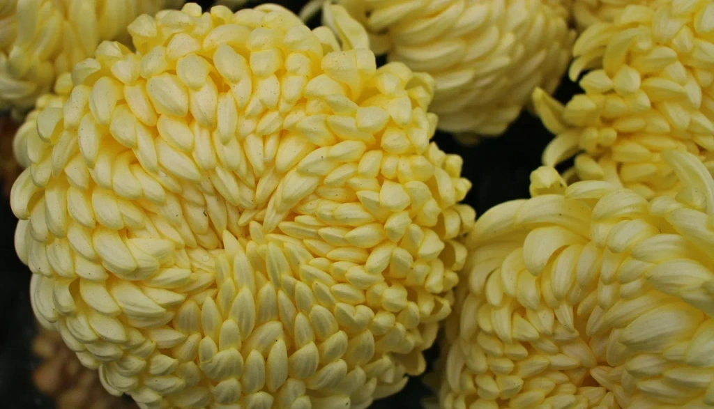 4 (576 x 330 пикс.)_20250610_122254_0000.png