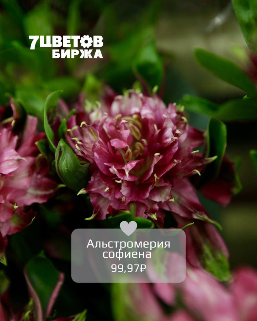 тд1006_1.jpg тд1006_1.jpg