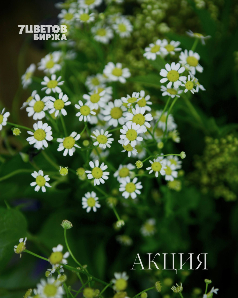 ШЕСТЬ самых выгодных позиций на предстоящую пятницу 03.10 В БИРЖЕ!