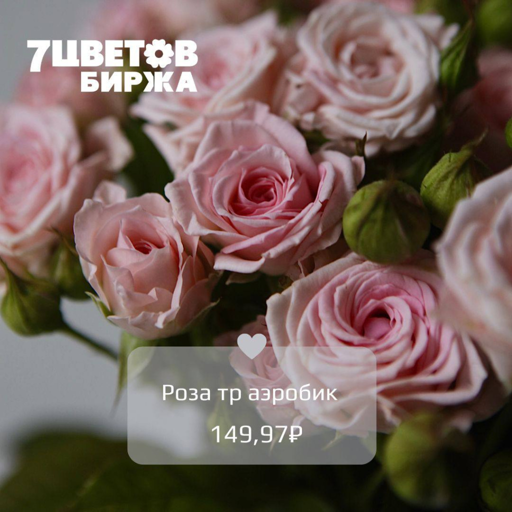 22_2.jpg