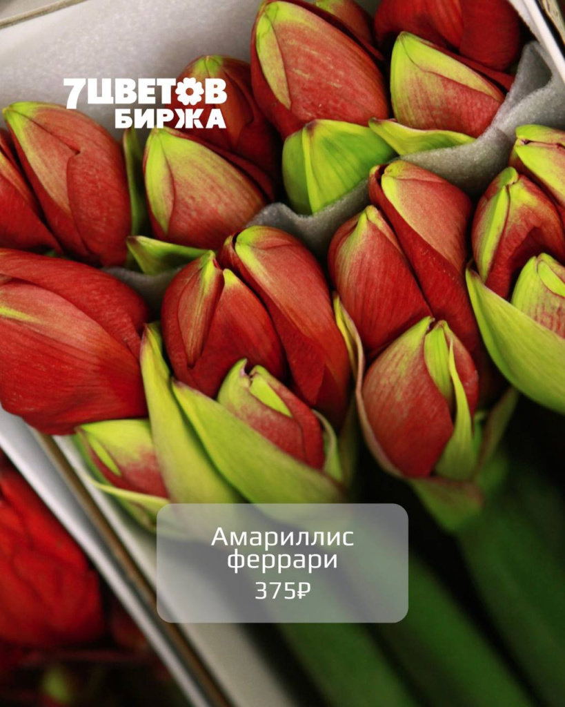 photo_2025-12-02_17-35-10 (2).jpg