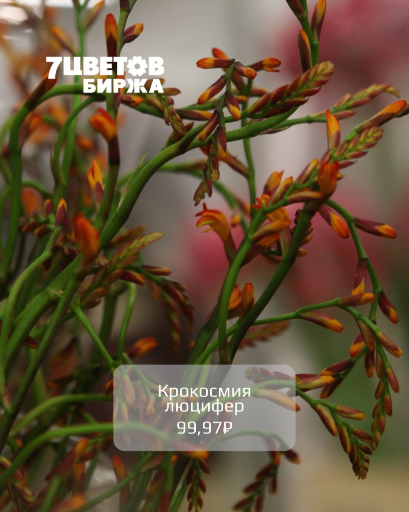 photo_2025-11-21_17-13-23 (2).jpg