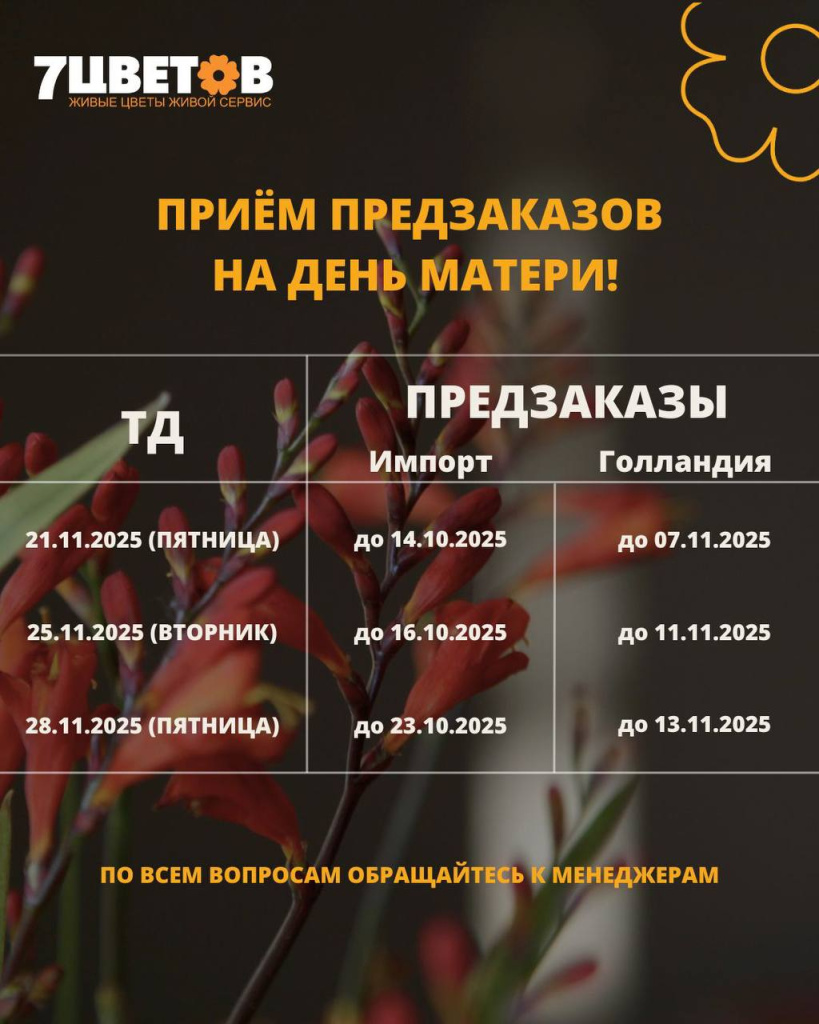 ДЕНЬ МАТЕРИ ГРАФИК.jpg