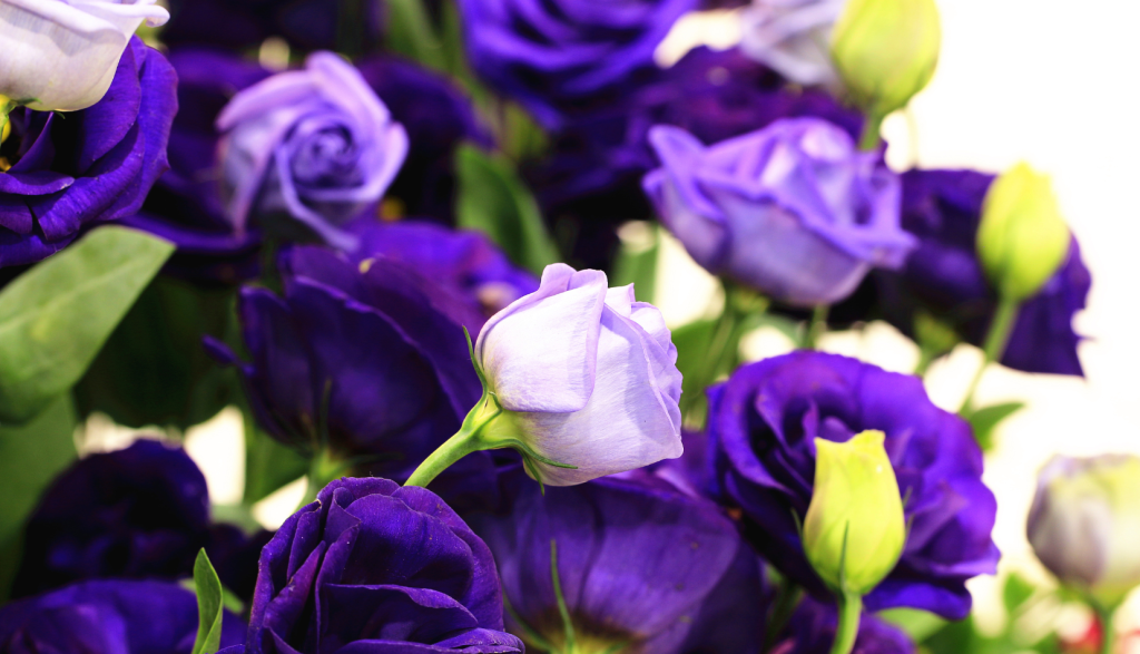 4 (576 x 330 пикс.)_20250611_103719_0000.png