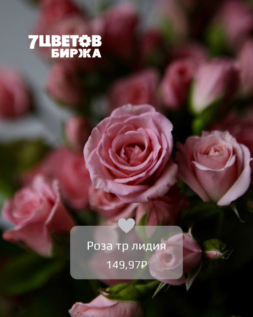 ТД2305_2.jpg ТД2305_2.jpg