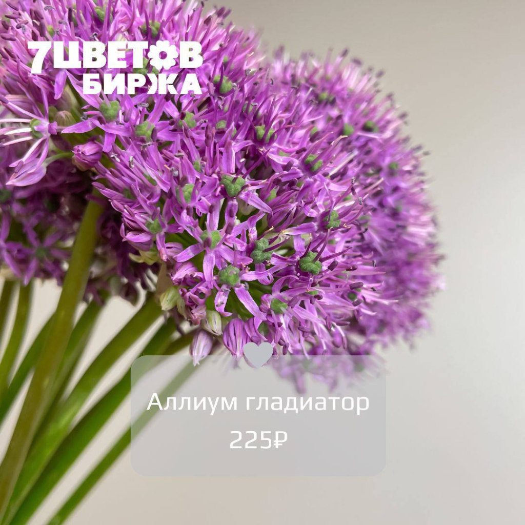 24062024_3.jpg