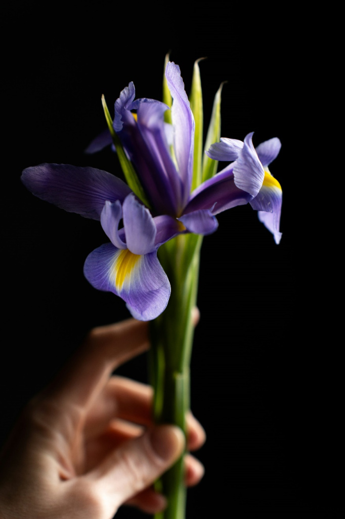 image40.jpg