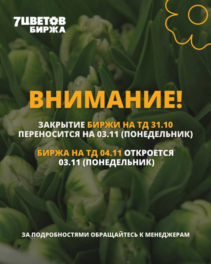 photo_2025-10-31_10-33-42.jpg photo_2025-10-31_10-33-42.jpg