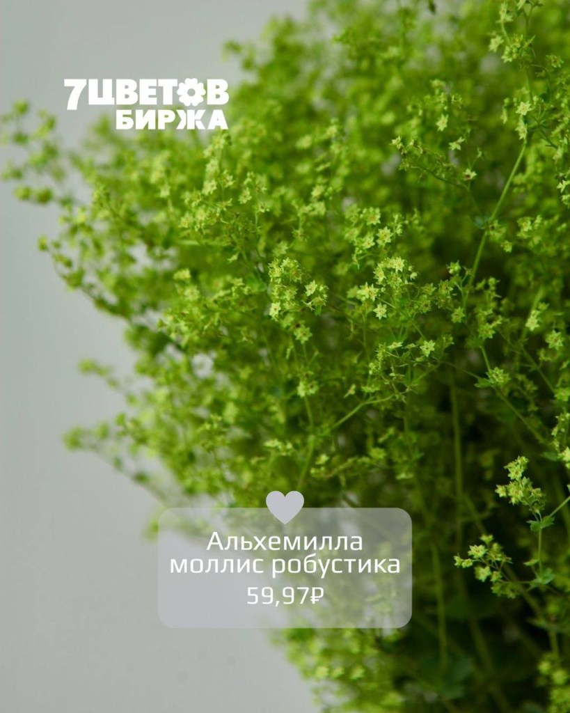 ТД2208_4.jpg ТД2208_4.jpg