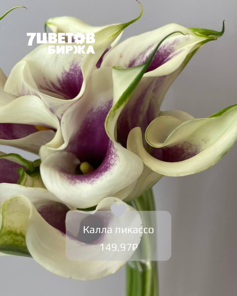 Тд1306_4.jpg