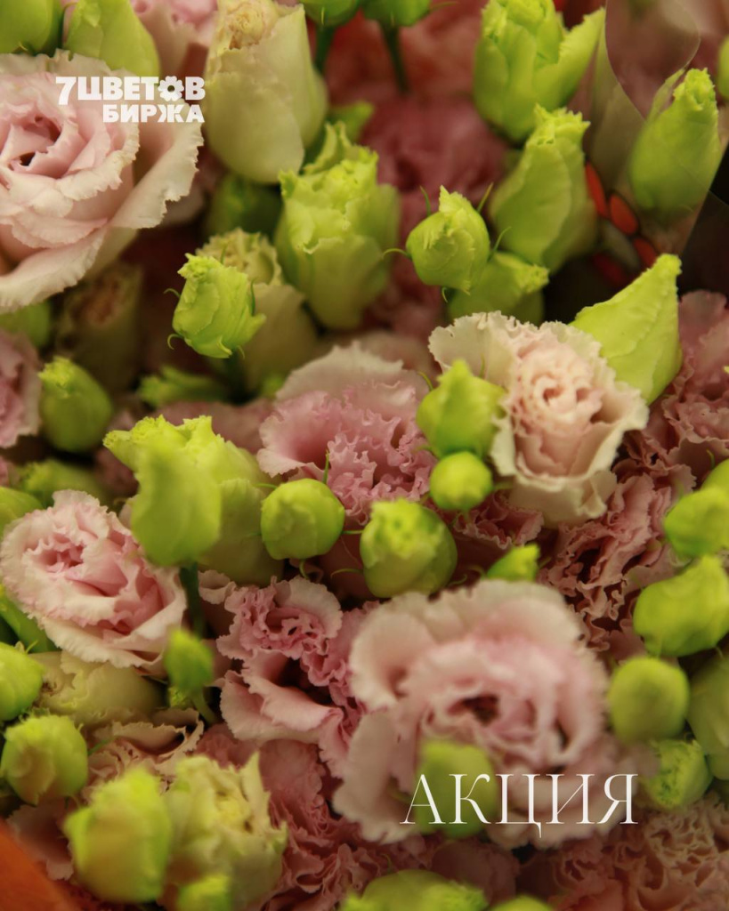 АКЦИИ на предстоящий вторник 16.12 В БИРЖЕ!