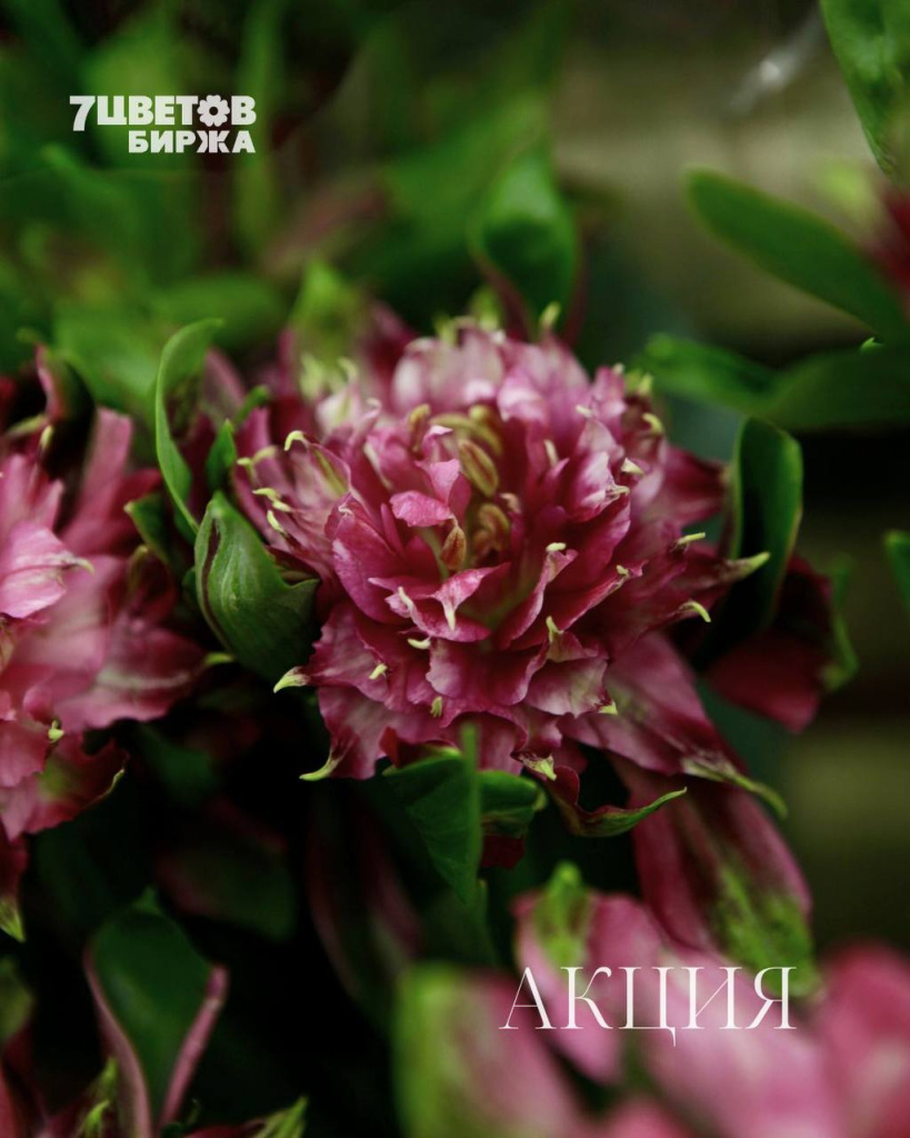 ШЕСТЬ самых выгодных позиций на предстоящий вторник 16.09 В БИРЖЕ!