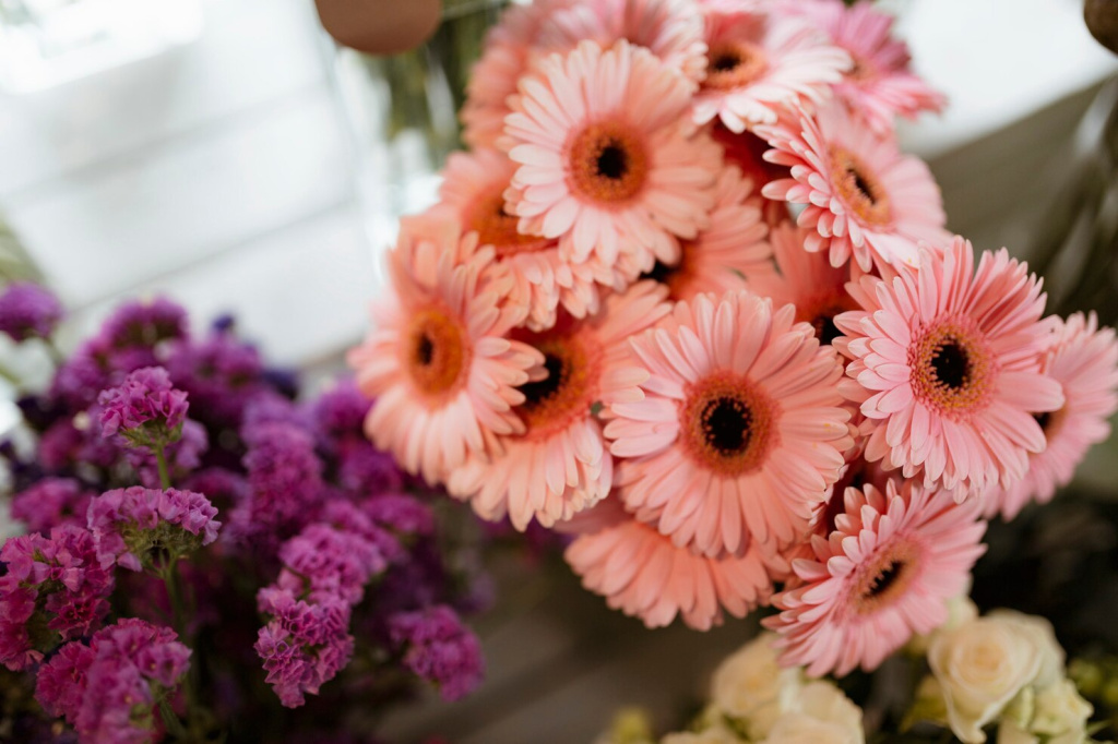 closeup-pink-gerber-daisy-bouquet-purple-statice_53876-63469.jpg