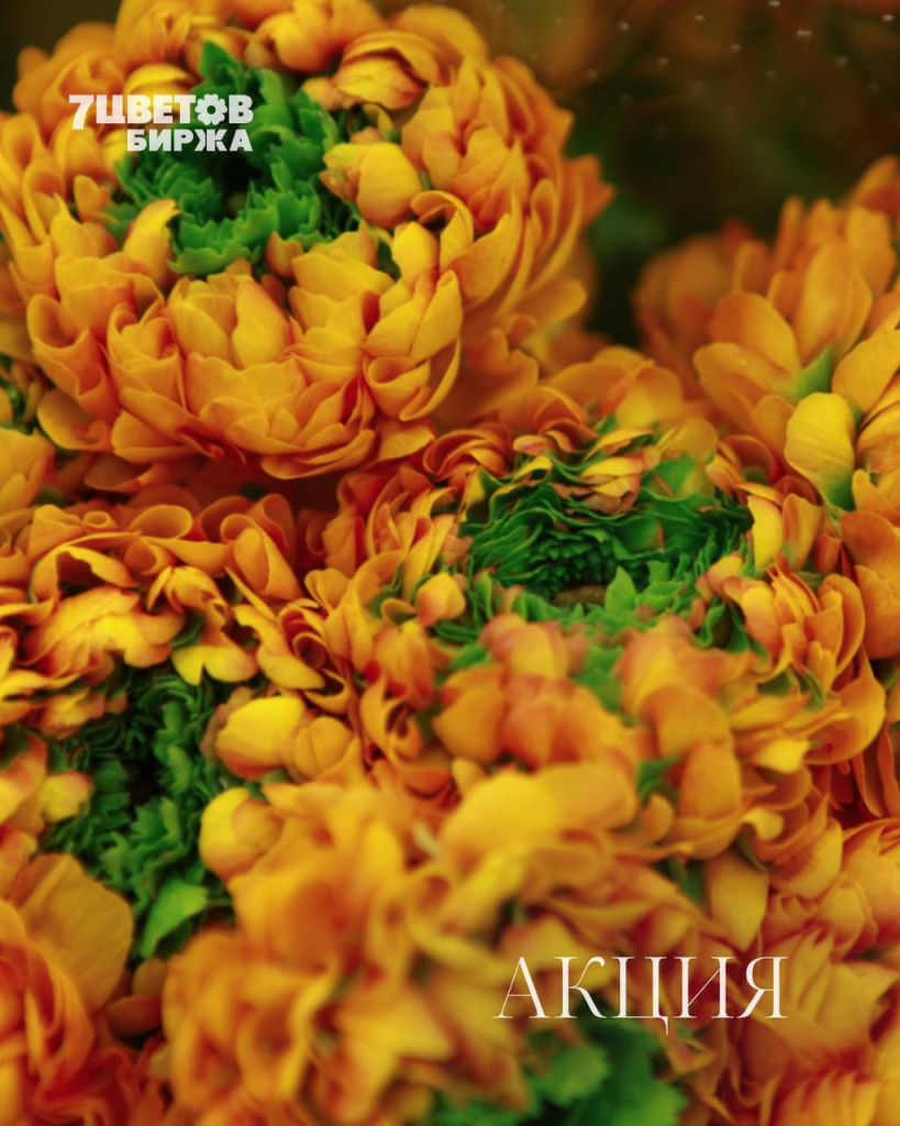 АКЦИИ на предстоящую пятницу 13.03 В БИРЖЕ!