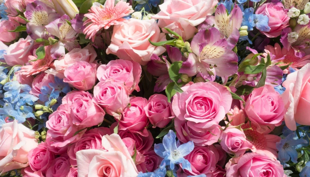 4 (576 x 330 пикс.)_20250611_135848_0000.png