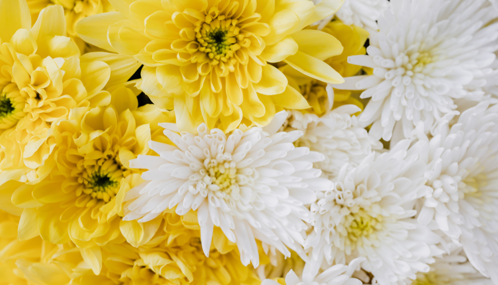 4 (576 x 330 пикс.)_20250611_102537_0000.png