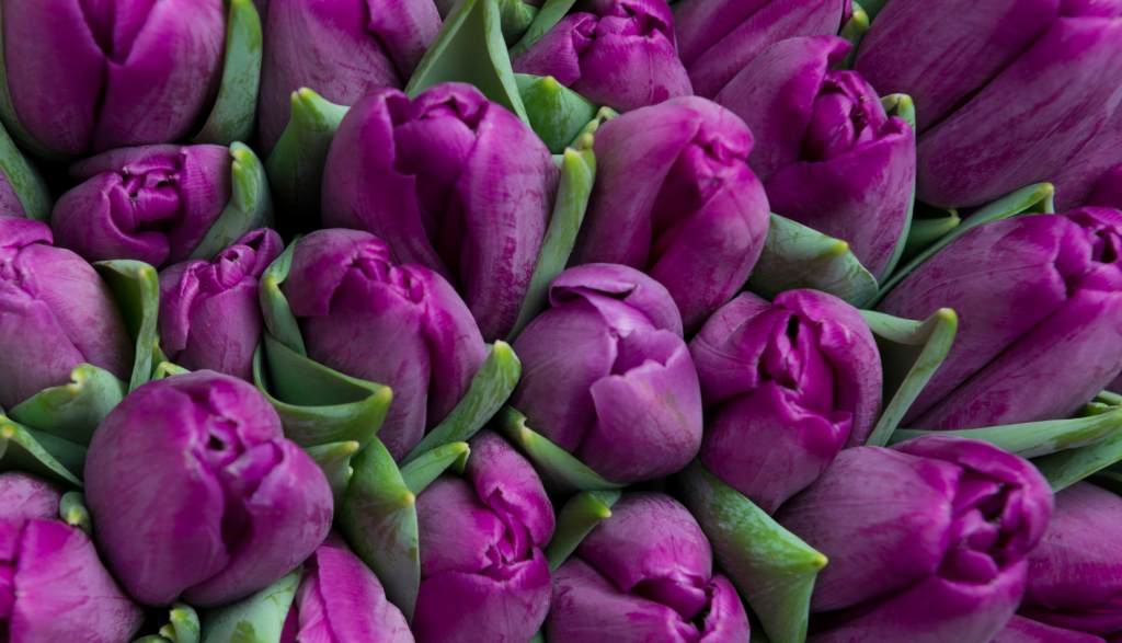 4 (576 x 330 пикс.)_20250611_103229_0000.png