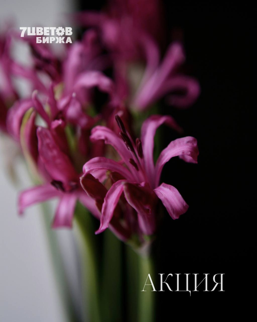 ШЕСТЬ самых выгодных позиций на предстоящий вторник 23.09 В БИРЖЕ!