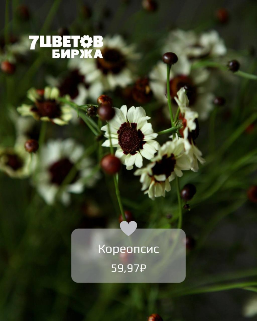 ТД2507_2.jpg ТД2507_2.jpg