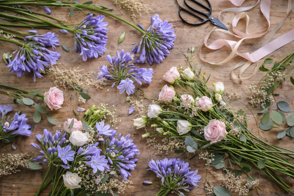 агапантус 3.png