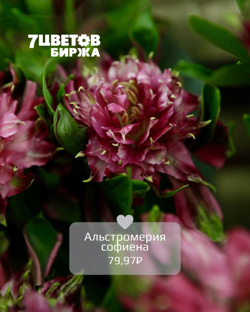 ТД0508_3.jpg ТД0508_3.jpg