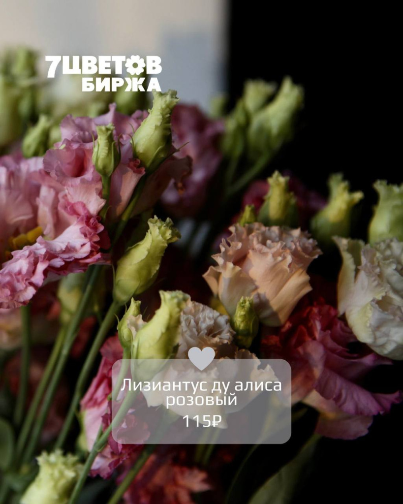 ТД1507_4.jpg ТД1507_4.jpg