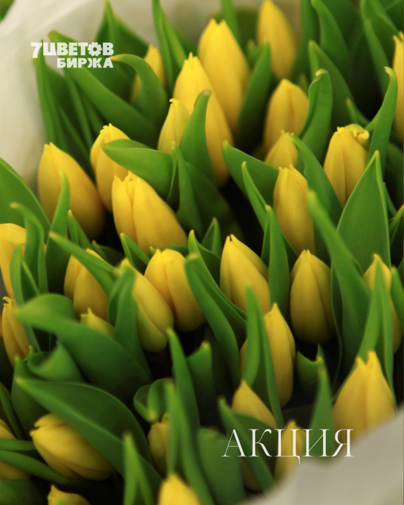 АКЦИИ на предстоящую пятницу 23.01 В БИРЖЕ!