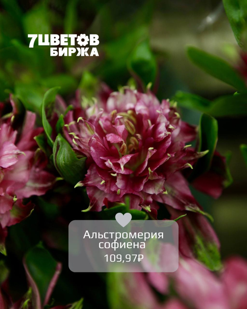 ТД0306_5.jpg ТД0306_5.jpg