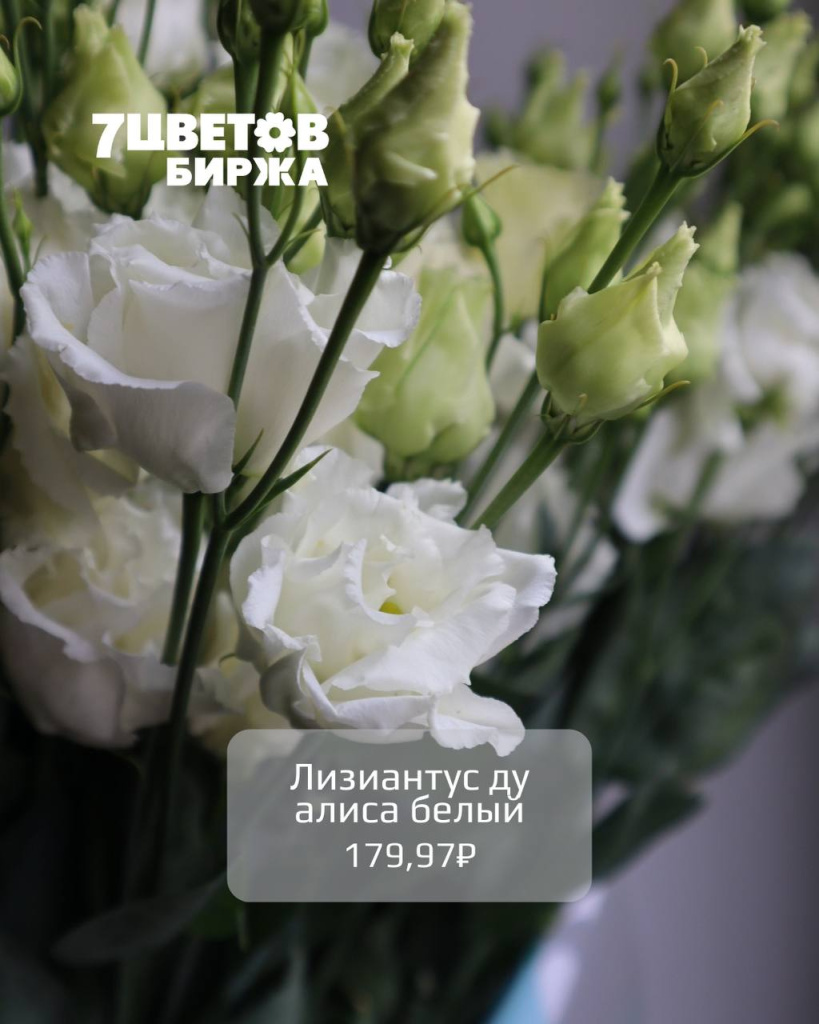 Тд1710_4.jpg Тд1710_4.jpg