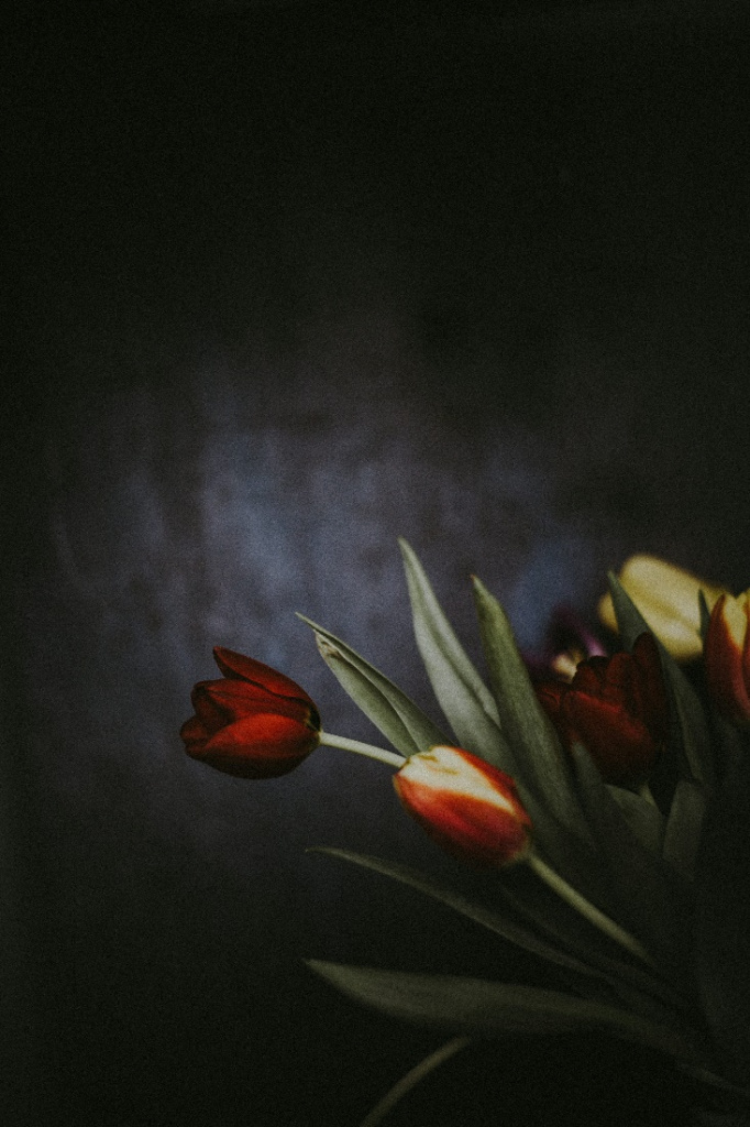 image34.jpg