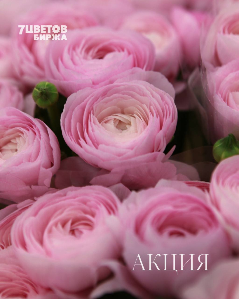 АКЦИИ на предстоящий вторник 19.12 В БИРЖЕ!