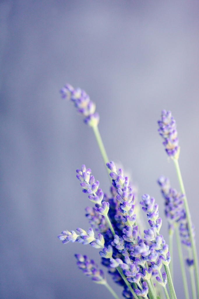 image33.jpg