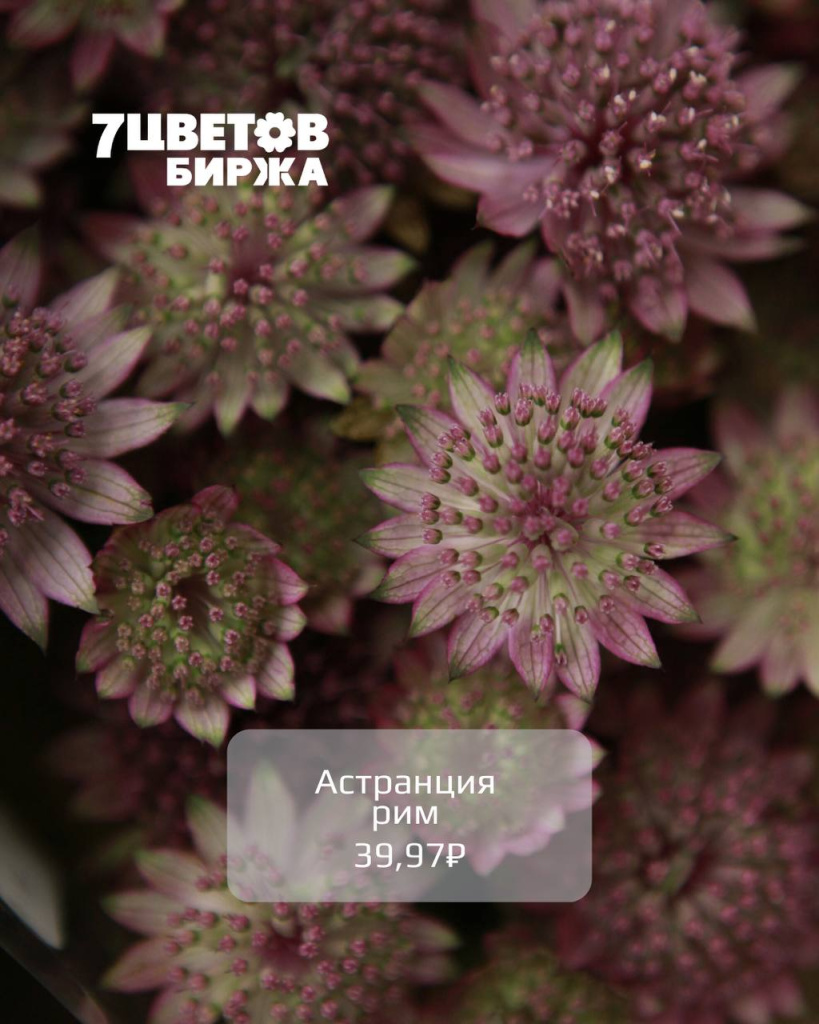 photo_2025-11-12_16-41-43 (2).jpg